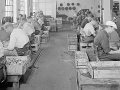 Мотивация: вдохновляем людей работать на результат