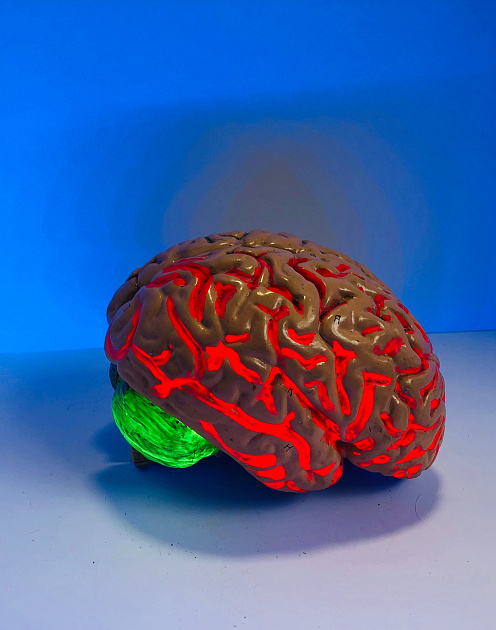 Естественный интеллект