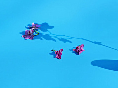 Что происходит, когда вы теряете наставника