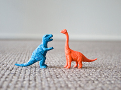 Как научиться спорить с максимальной пользой