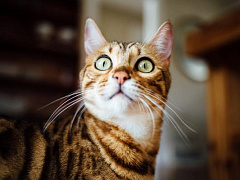 Как не цепенеть от страха в важные моменты вашей жизни