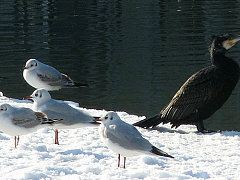 Бизнес без предрассудков