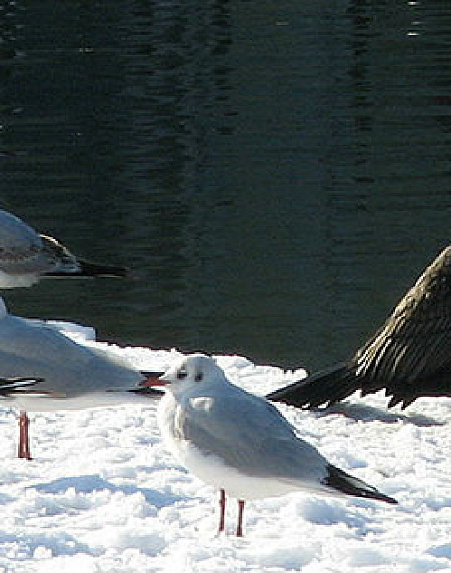 Бизнес без предрассудков