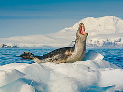 «Есть важное дело»: как правильно отвлекать сотрудников от их работы