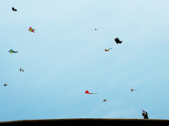 Кто должен управлять фрилансерами