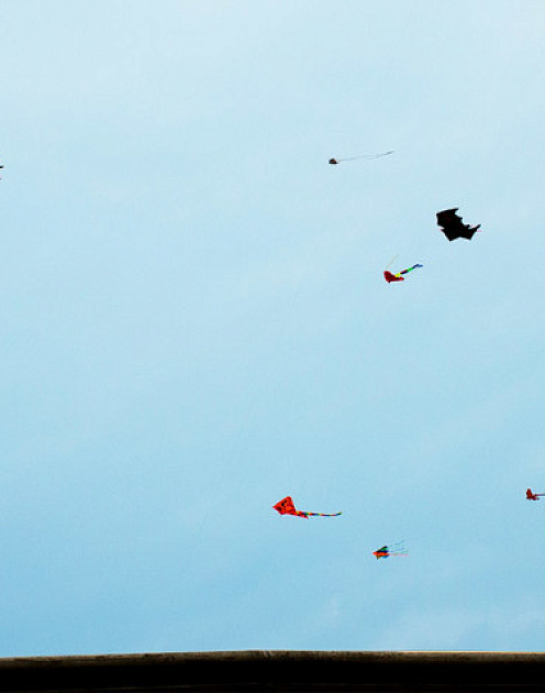 Кто должен управлять фрилансерами