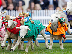 Почему одни развивающиеся страны успешнее других