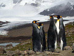 Открытость и непредвзятость: новая норма работы в команде