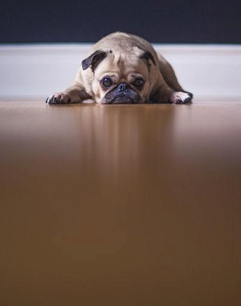 «Лучше бы мы ненавидели свою работу, было бы гораздо проще»