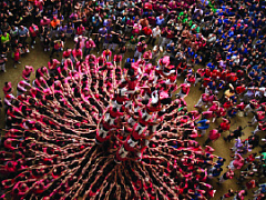 Компания мечты