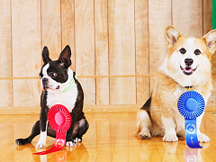 Перестаньте относиться к себе слишком строго