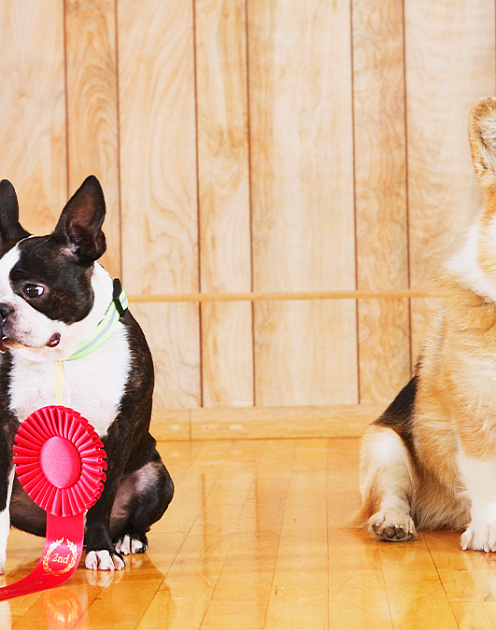 Перестаньте относиться к себе слишком строго