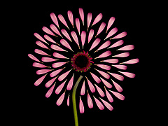 Научитесь работать с рекомендациями ваших клиентов