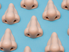 Запах бренда