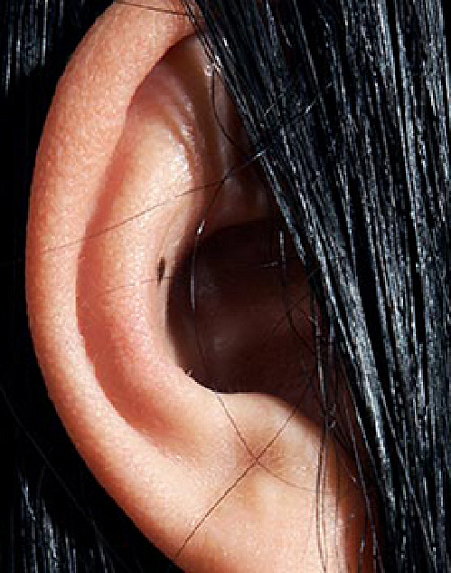 Как понять, что вы слишком много говорите