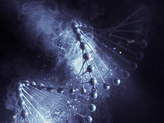 Какие новые инструменты для решения социальных проблем может дать генетика