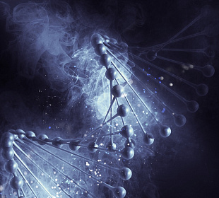 Какие новые инструменты для решения социальных проблем может дать генетика