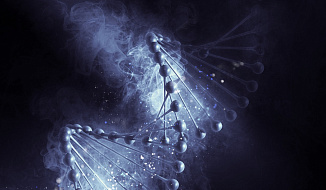 Какие новые инструменты для решения социальных проблем может дать генетика