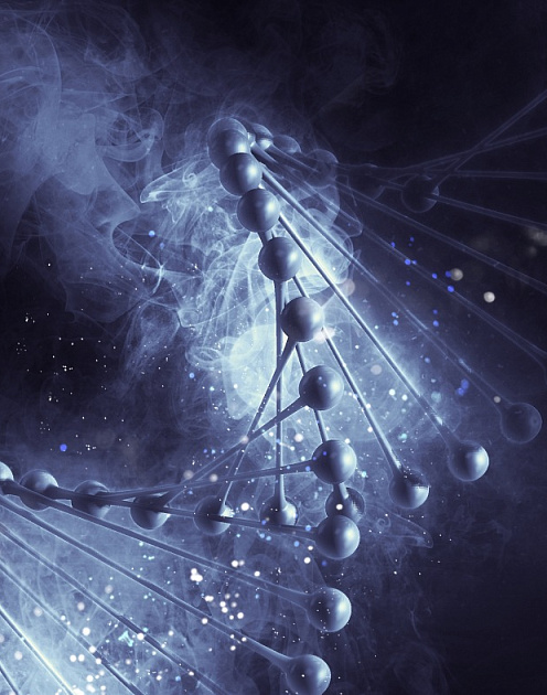 Какие новые инструменты для решения социальных проблем может дать генетика