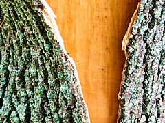 Подбор сотрудников: как не пасть жертвой первого впечатления