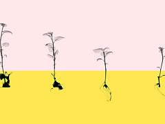 Тонкая душевная организация