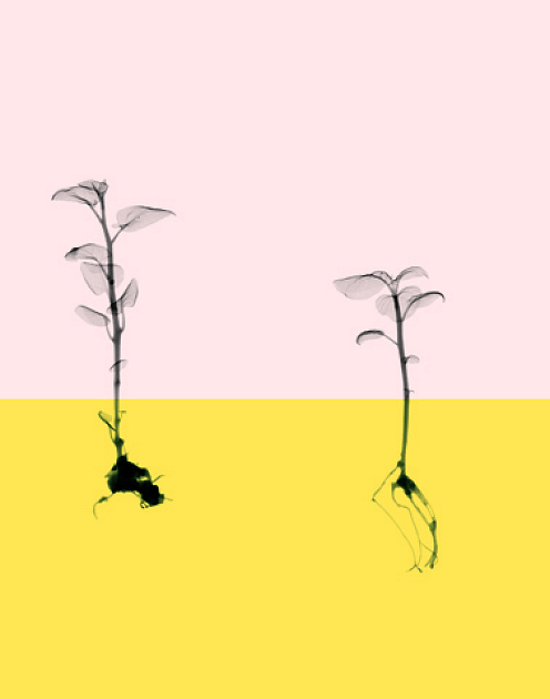 Тонкая душевная организация