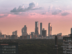 Хороший, плохой, свой: как устроен российский менеджмент