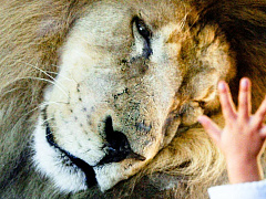 Что не так с вашим сном: результаты теста