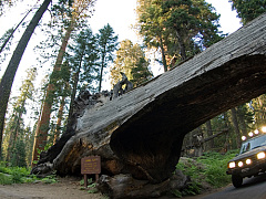 10 качеств инновационного лидера