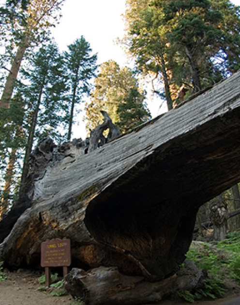 10 качеств инновационного лидера