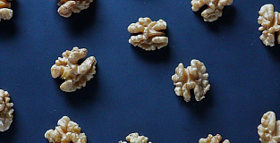 Как наш мозг думает и принимает решения