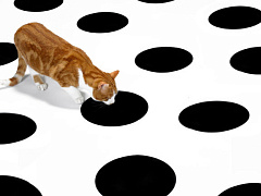 Перестаньте отвлекаться