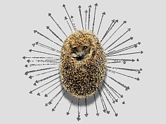 Зачем и как менеджеру нужно рассказывать команде о себе