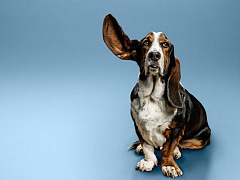 Хотите, чтобы сотрудники не увольнялись? Выслушайте их