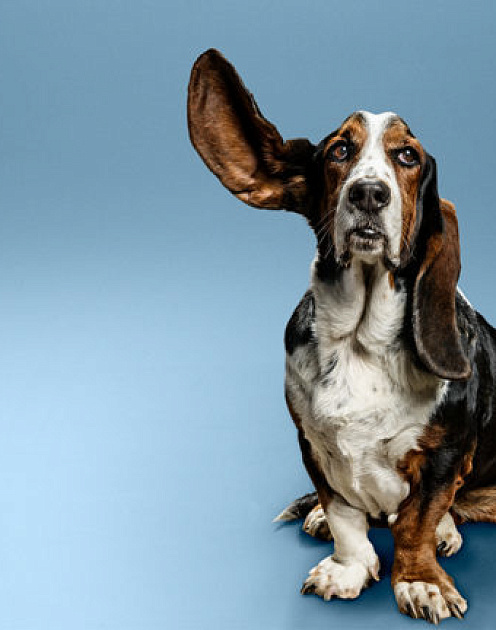 Хотите, чтобы сотрудники не увольнялись? Выслушайте их