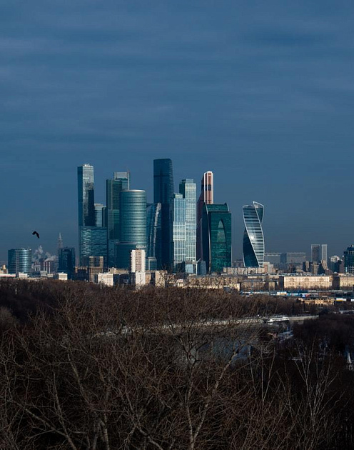 В ожидании кентавров: чего не хватает корпоративной культуре в России