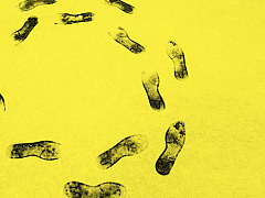 Почему советы ваших подчиненных пропадают зря