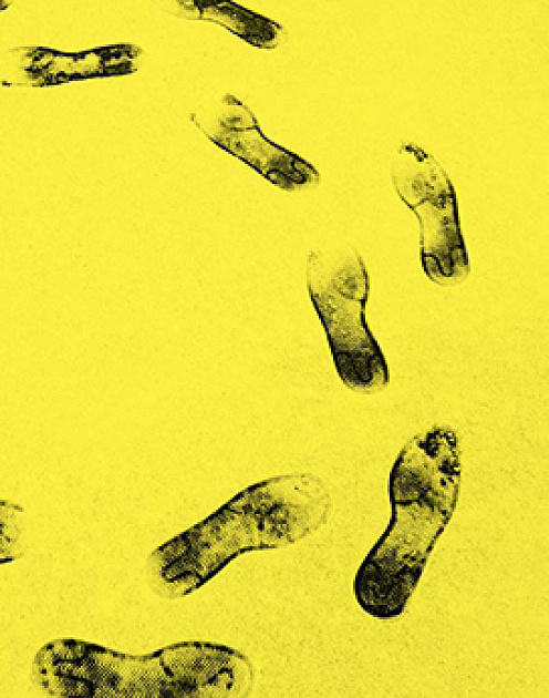 Почему советы ваших подчиненных пропадают зря