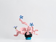 Гены, среда или воля