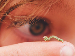 Как я построил компанию стоимостью $2 млрд, думая о мелочах