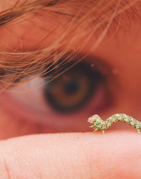 Как я построил компанию стоимостью $2 млрд, думая о мелочах