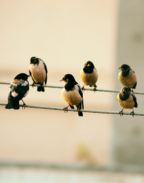 Новые модели найма: как работать с проектными сотрудниками