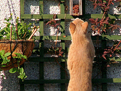 Выдающихся лидеров отличает любопытство