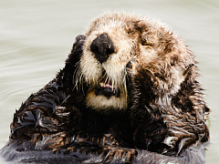 Почему нынешним двадцатилетним живется тяжелее всех