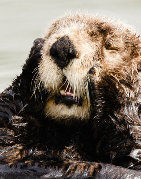 Почему нынешним двадцатилетним живется тяжелее всех