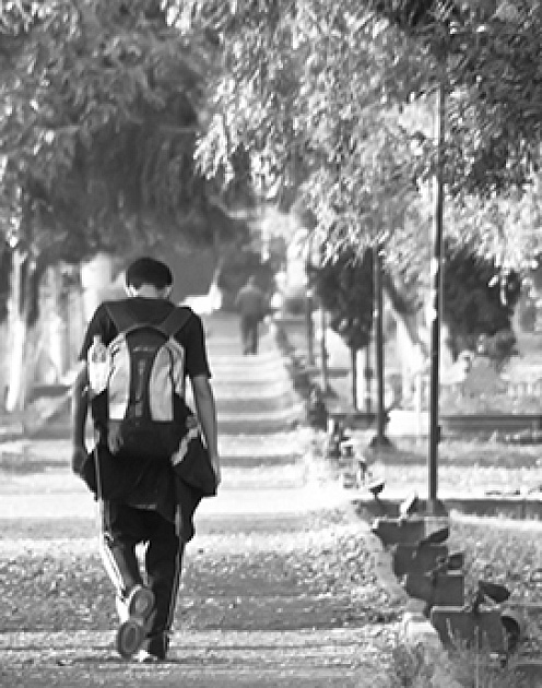 Структура мотивации