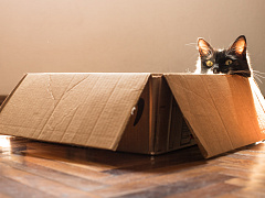 «Шопинг вслепую»: почему мы покупаем не то, что хотим