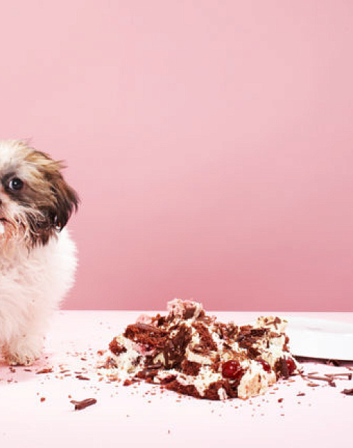 Почему агрессивных лидеров чаще наказывают за ошибки