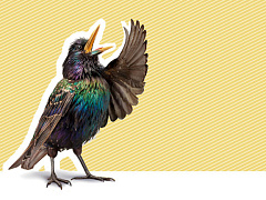 Метод Аристотеля: как убеждать людей и добиваться успеха