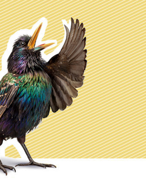 Метод Аристотеля: как убеждать людей и добиваться успеха